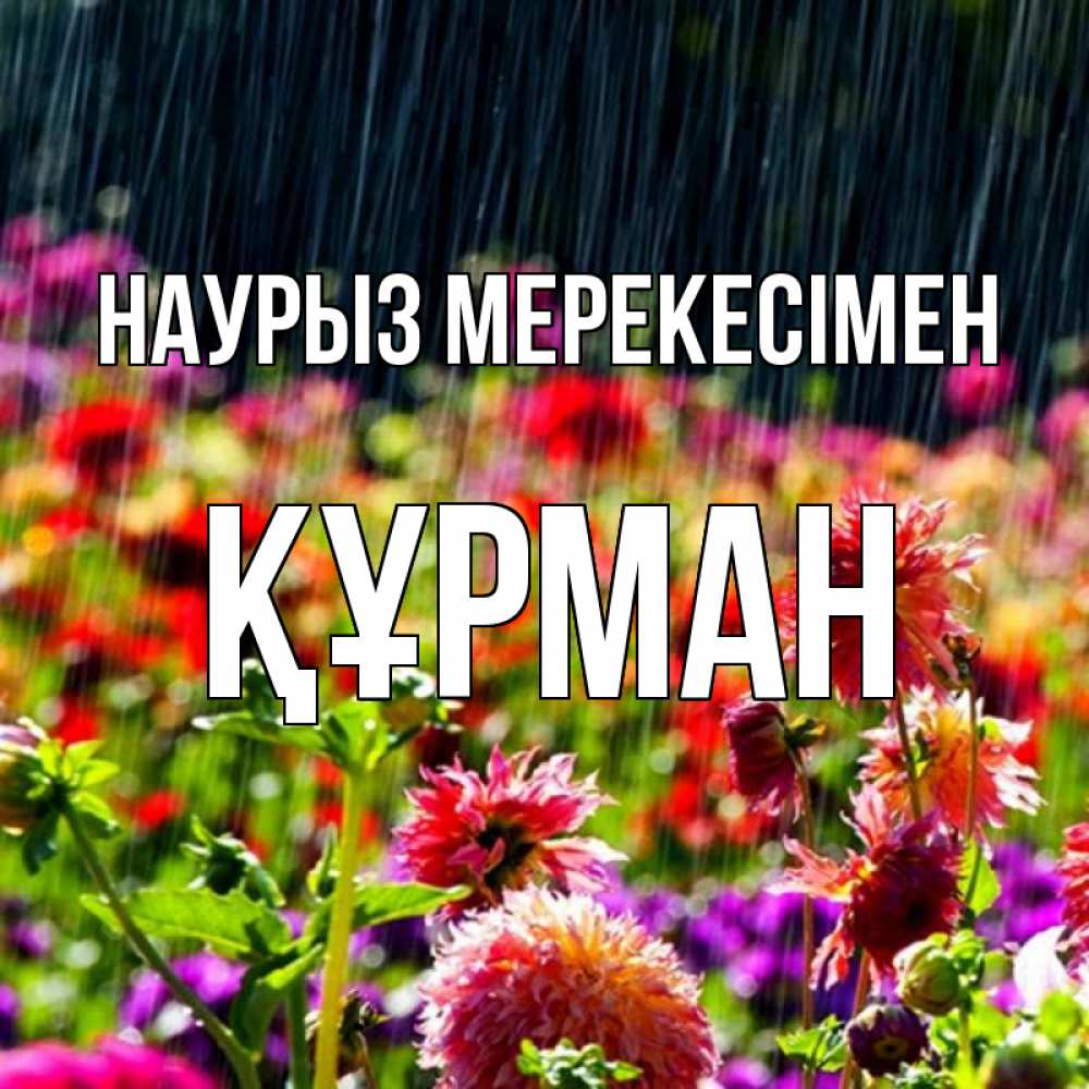 Күн сайын ашық хат с именем, ҚҰРМАН Наурыз мерекесімен цветы под дождиком к международному женскому дню Онлайн тегін жүктеп алу тілектері бар керемет карта 