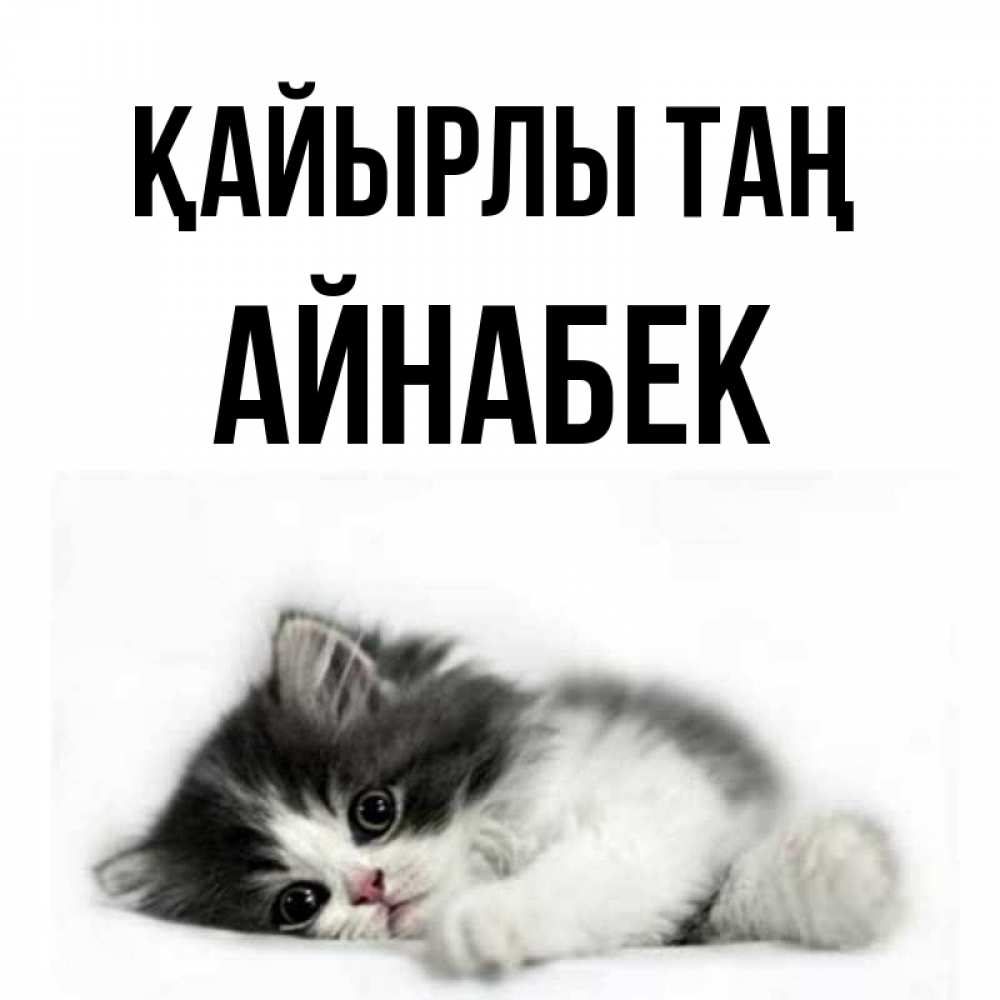 Күн сайын ашық хат с именем, Айнабек Қайырлы таң кот лапки Онлайн тегін жүктеп алу тілектері бар керемет карта 