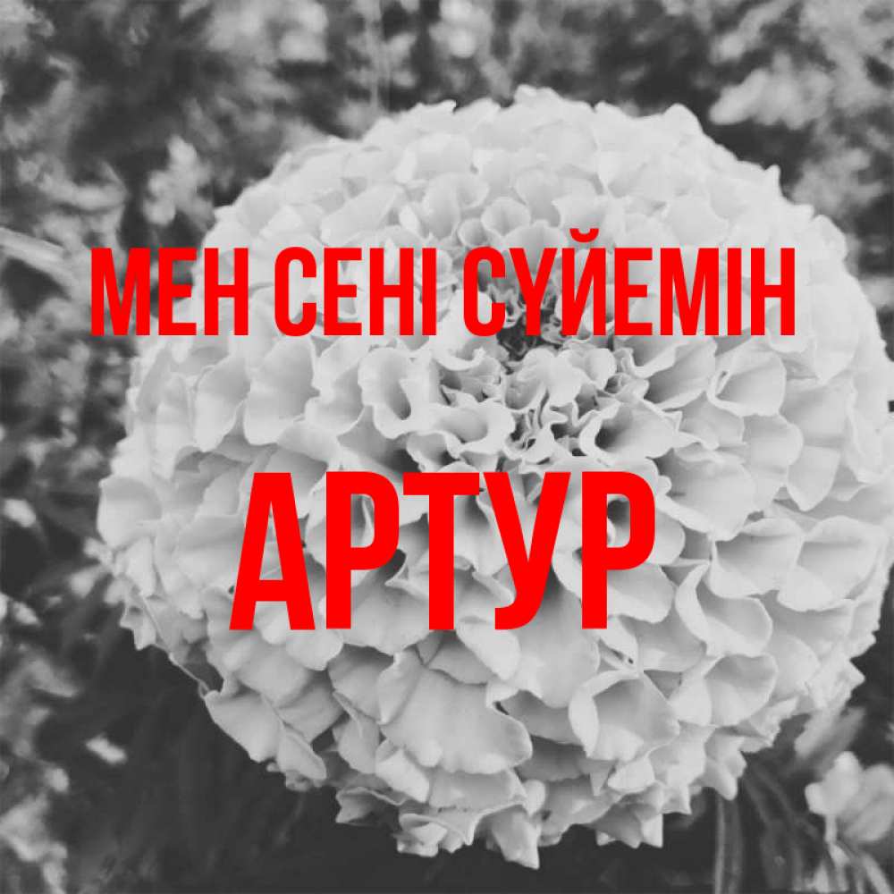 Күн сайын ашық хат с именем, Артур Мен сені сүйемін подпись Онлайн тегін жүктеп алу тілектері бар керемет карта 