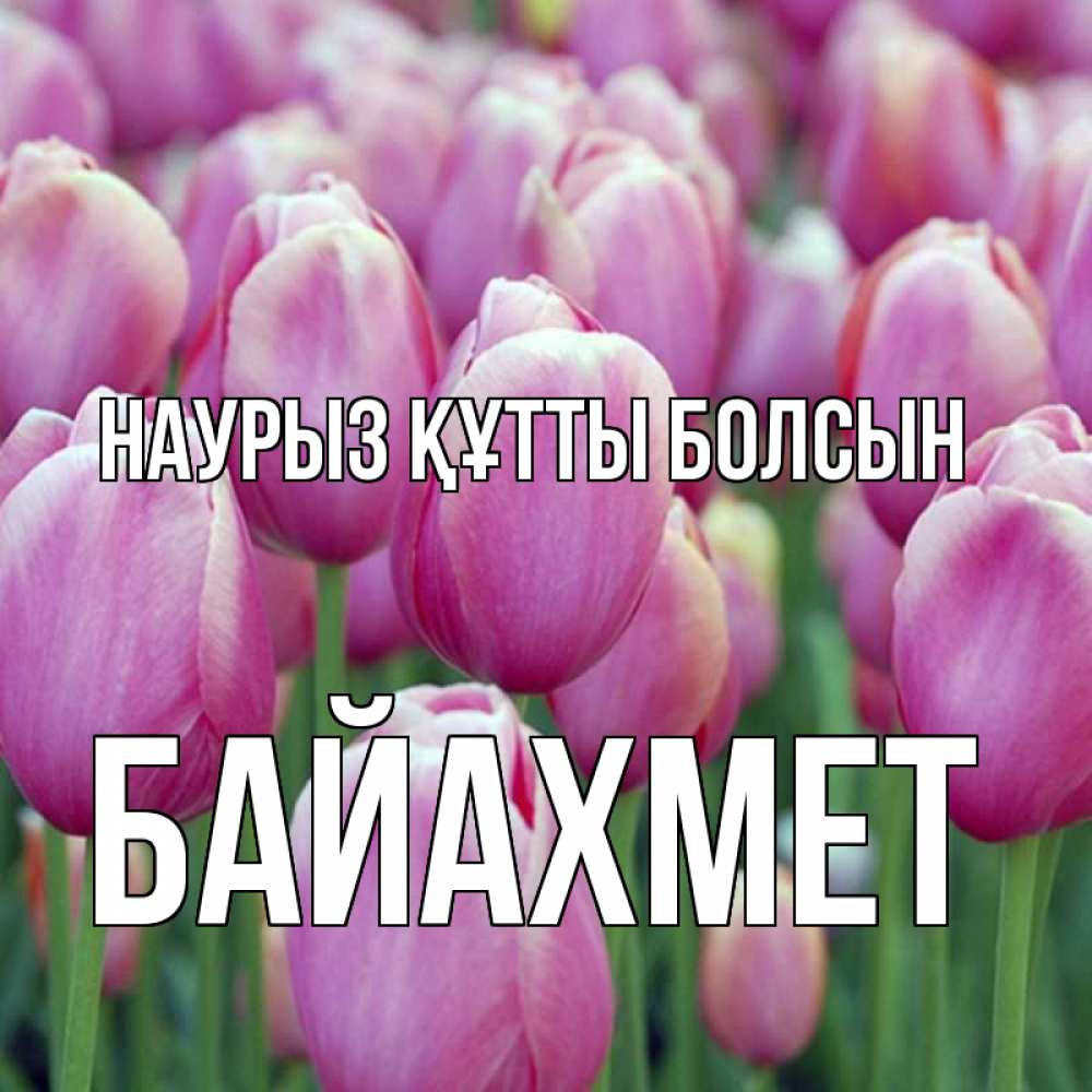 Күн сайын ашық хат с именем, Байахмет Наурыз құтты болсын на наурыз  день 3 Онлайн тегін жүктеп алу тілектері бар керемет карта 