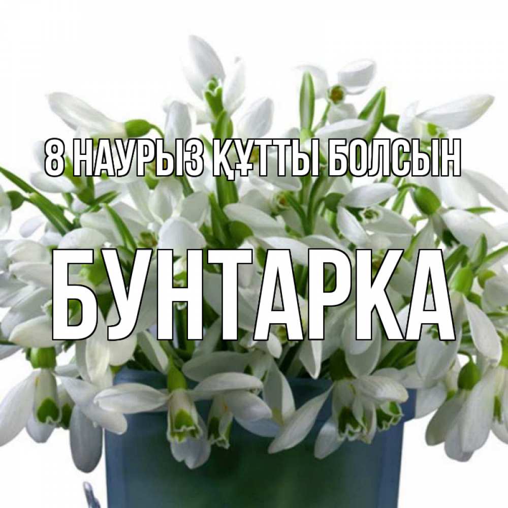 Күн сайын ашық хат с именем, Бунтарка 8 наурыз құтты болсын цветы к международному женскому дню Онлайн тегін жүктеп алу тілектері бар керемет карта 