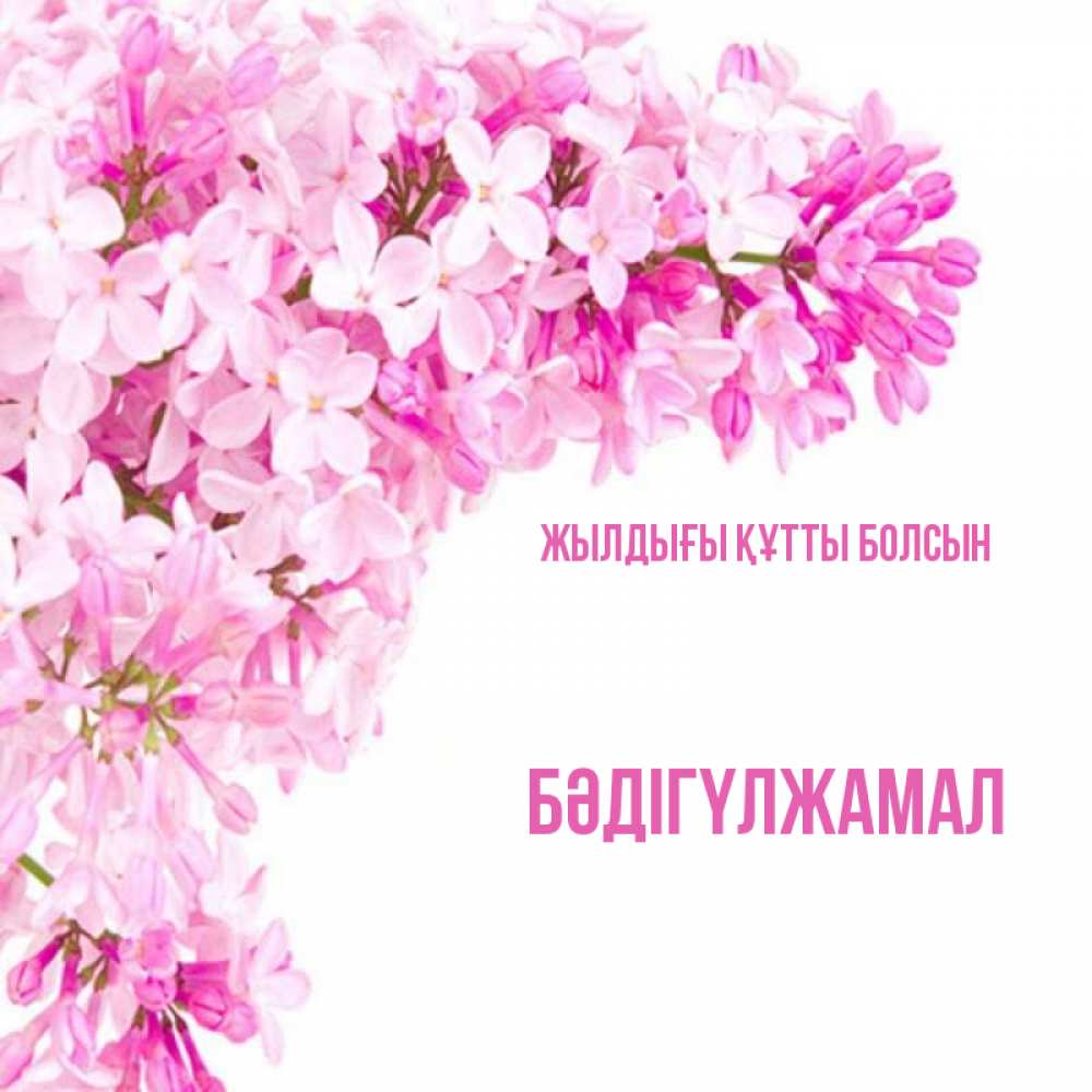 Күн сайын ашық хат с именем, БӘДІГҮЛЖАМАЛ Жылдығы құтты болсын Сирень на белом фоне Онлайн тегін жүктеп алу тілектері бар керемет карта 