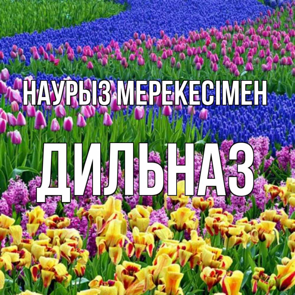 Күн сайын ашық хат с именем, ДИЛЬНАЗ Наурыз мерекесімен цветы Онлайн тегін жүктеп алу тілектері бар керемет карта 