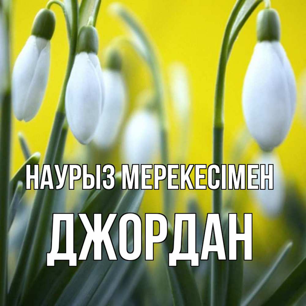 Күн сайын ашық хат с именем, Джордан Наурыз мерекесімен весенние цветы Онлайн тегін жүктеп алу тілектері бар керемет карта 