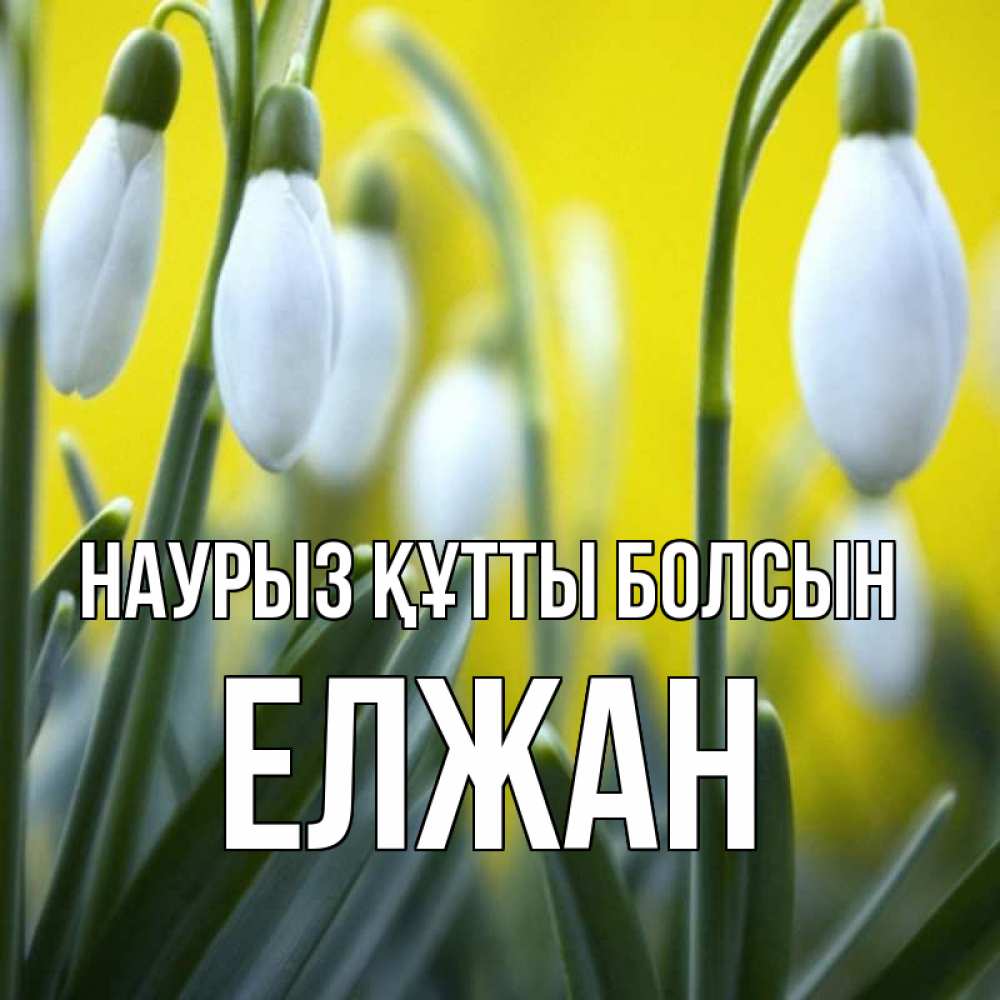 Күн сайын ашық хат с именем, Елжан Наурыз құтты болсын весенние цветы Онлайн тегін жүктеп алу тілектері бар керемет карта 