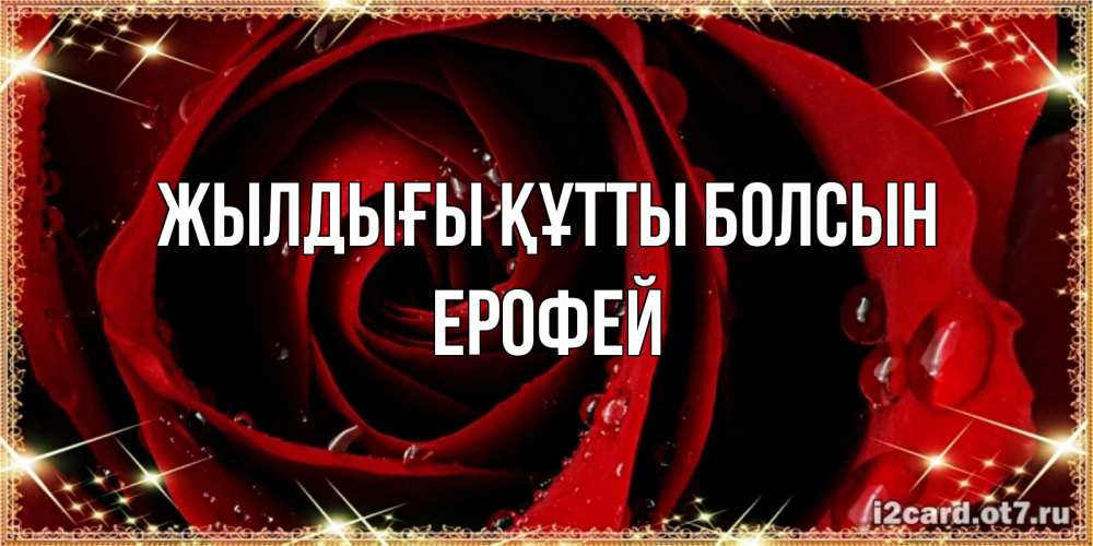 Күн сайын ашық хат с именем, Ерофей Жылдығы құтты болсын цветок в росе на день рождения Онлайн тегін жүктеп алу тілектері бар керемет карта 