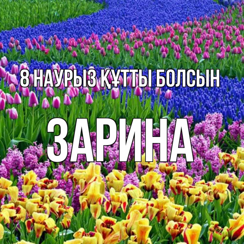 Күн сайын ашық хат с именем, ЗАРИНА 8 наурыз құтты болсын цветы Онлайн тегін жүктеп алу тілектері бар керемет карта 