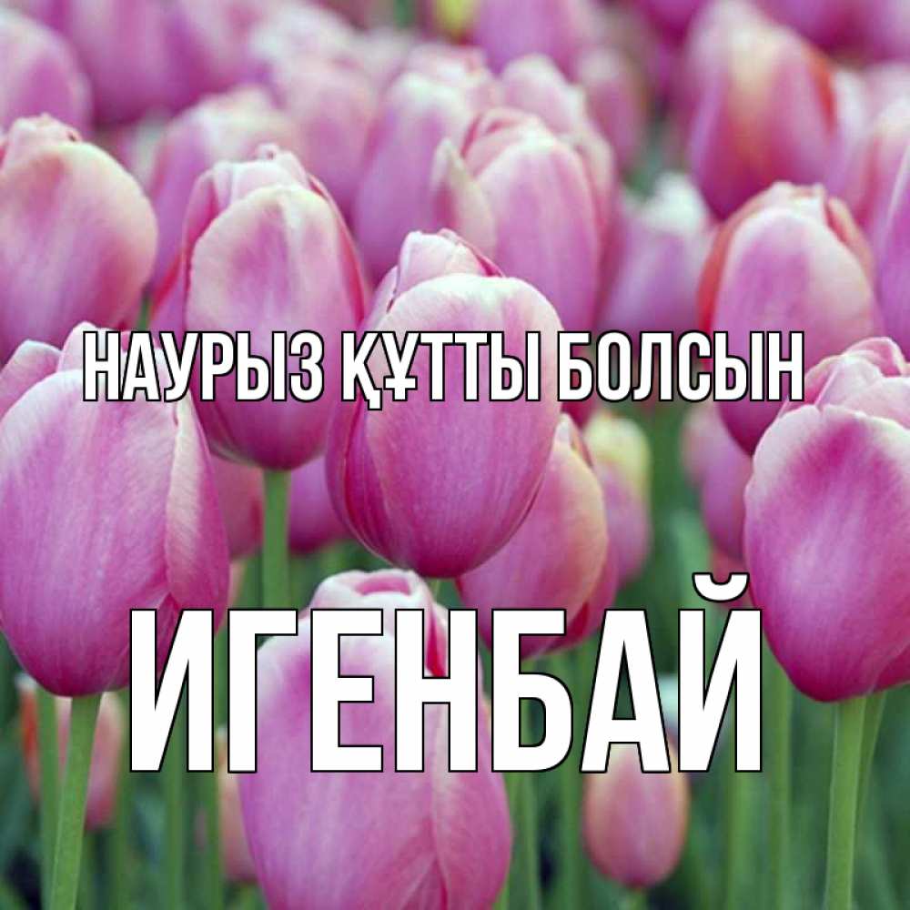 Күн сайын ашық хат с именем, Игенбай Наурыз құтты болсын на наурыз  день 3 Онлайн тегін жүктеп алу тілектері бар керемет карта 