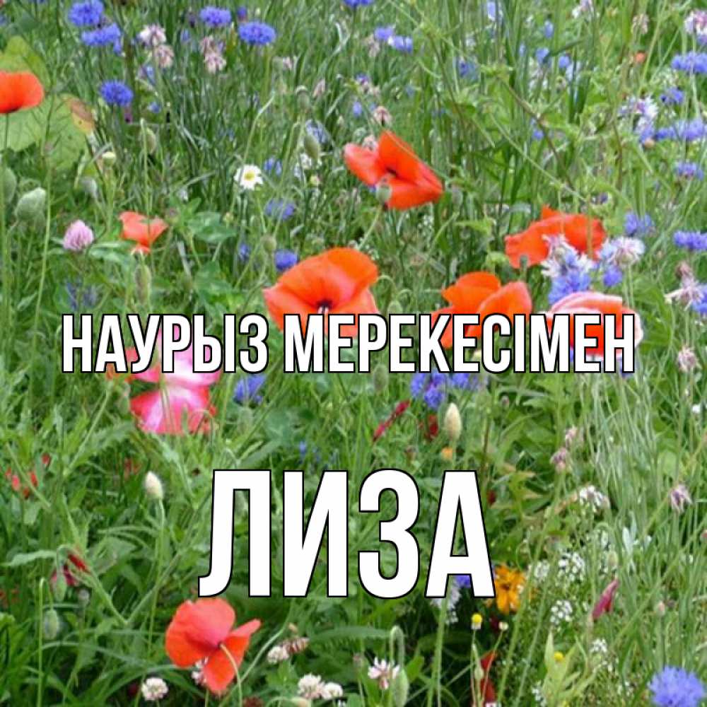Күн сайын ашық хат с именем, Лиза Наурыз мерекесімен праздник весны наурыз супер открытка Онлайн тегін жүктеп алу тілектері бар керемет карта 