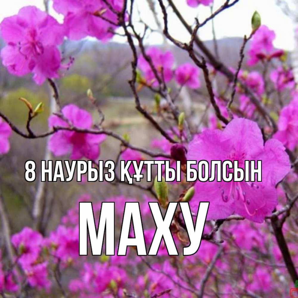 Күн сайын ашық хат с именем, МАХУ 8 наурыз құтты болсын международный женский день Онлайн тегін жүктеп алу тілектері бар керемет карта 
