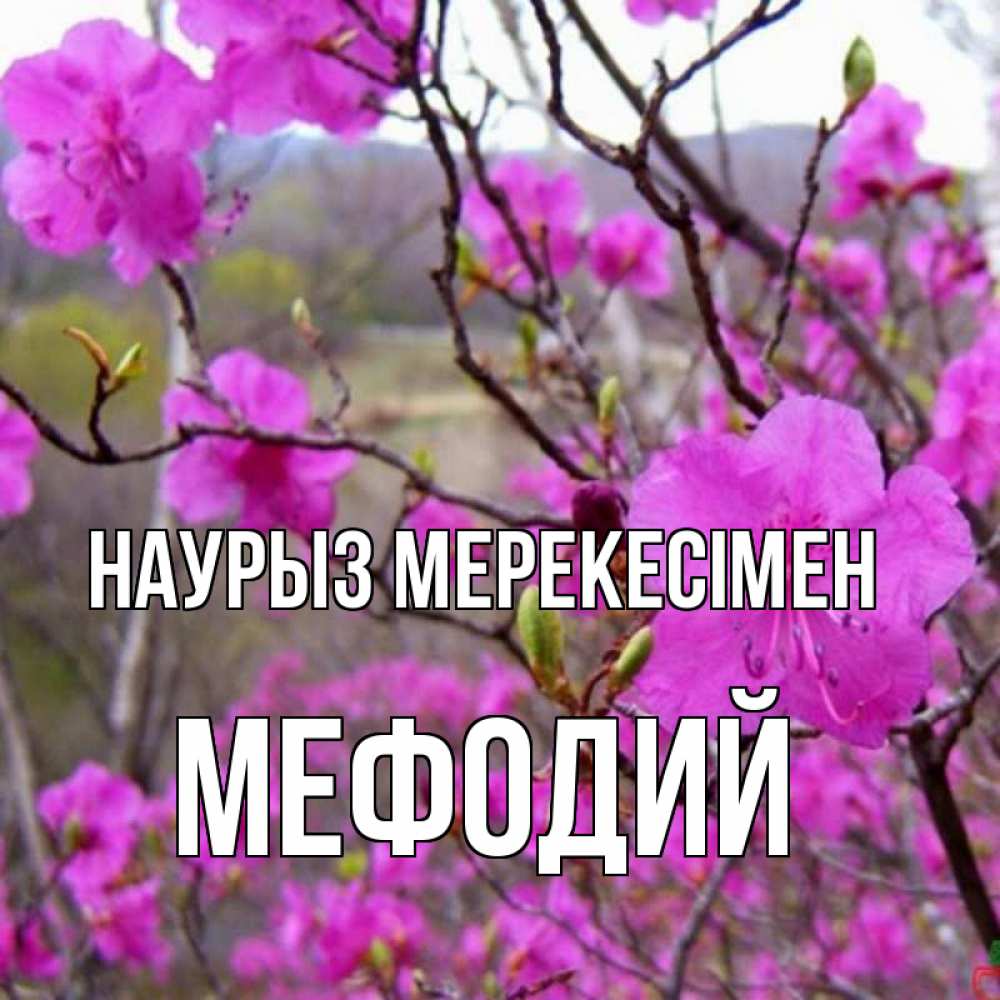 Күн сайын ашық хат с именем, Мефодий Наурыз мерекесімен праздник весны наурыз Онлайн тегін жүктеп алу тілектері бар керемет карта 