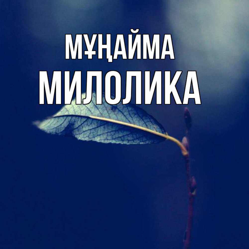 Күн сайын ашық хат с именем, Милолика Мұңайма растение Онлайн тегін жүктеп алу тілектері бар керемет карта 