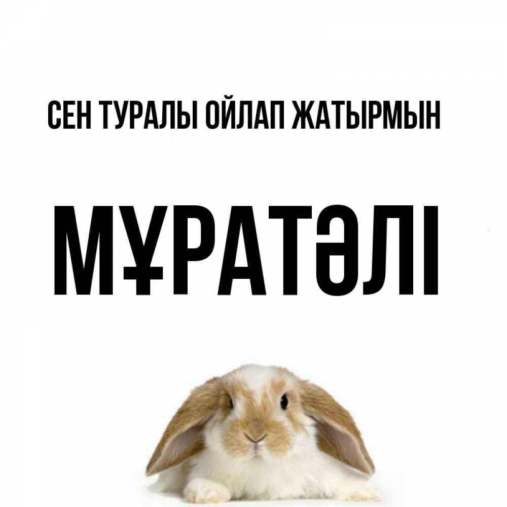 Күн сайын ашық хат с именем, Мұратәлі Сен туралы ойлап жатырмын подписать своими руками онлайн Онлайн тегін жүктеп алу тілектері бар керемет карта 