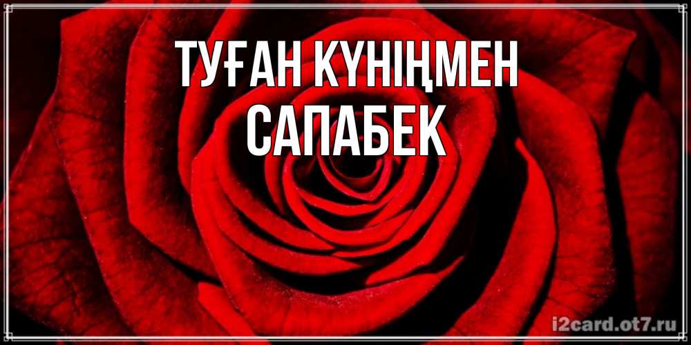 Күн сайын ашық хат с именем, САПАБЕК Туған күніңмен алая роза Онлайн тегін жүктеп алу тілектері бар керемет карта 