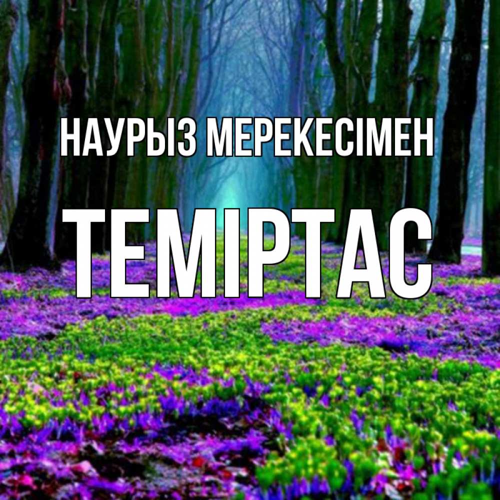 Күн сайын ашық хат с именем, ТЕМІРТАС Наурыз мерекесімен фиолетовые цветы в лесу 1 Онлайн тегін жүктеп алу тілектері бар керемет карта 