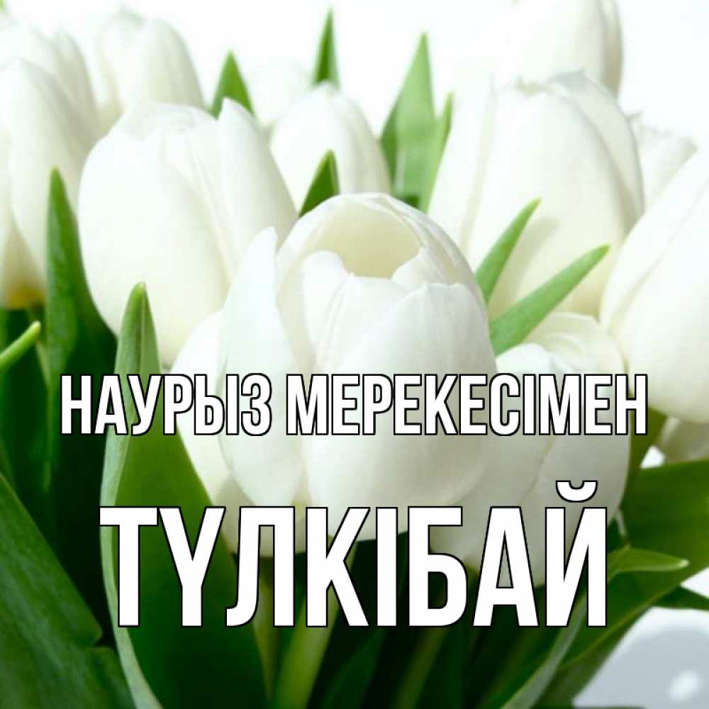 Күн сайын ашық хат с именем, ТҮЛКІБАЙ Наурыз мерекесімен цветы Онлайн тегін жүктеп алу тілектері бар керемет карта 
