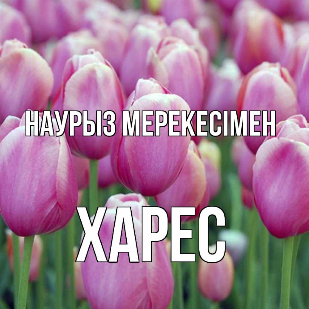 Күн сайын ашық хат с именем, ХАРЕС Наурыз мерекесімен праздник весны наурыз 69 Онлайн тегін жүктеп алу тілектері бар керемет карта 