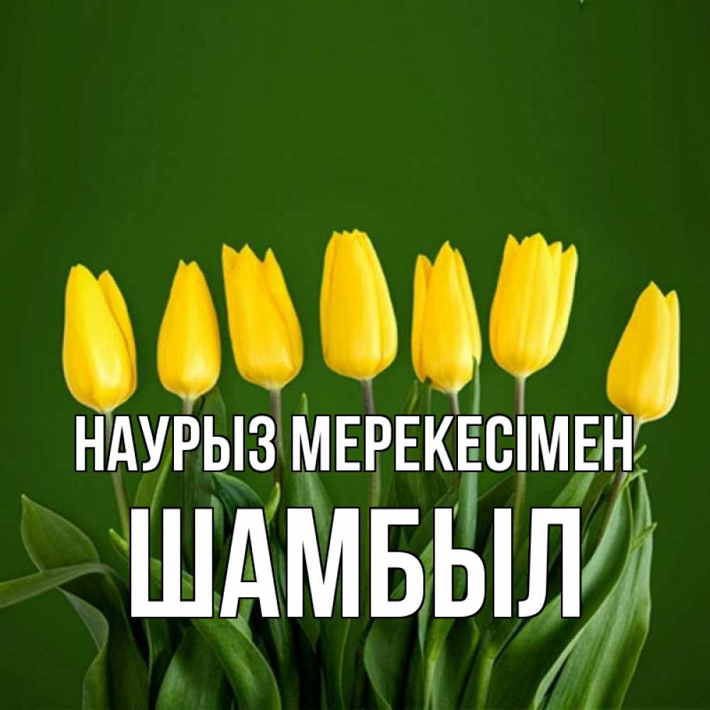 Күн сайын ашық хат с именем, ШАМБЫЛ Наурыз мерекесімен желтого цвета 3 Онлайн тегін жүктеп алу тілектері бар керемет карта 
