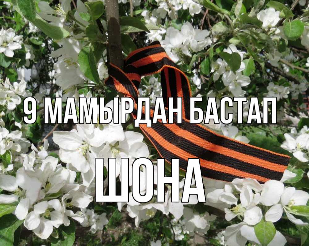 Күн сайын ашық хат с именем, ШОНА 9 мамырдан бастап 9 мая Онлайн тегін жүктеп алу тілектері бар керемет карта 