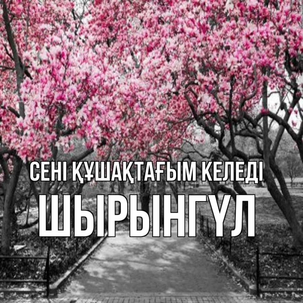 Күн сайын ашық хат с именем, ШЫРЫНГҮЛ сені құшақтағым келеді обработанное фото Онлайн тегін жүктеп алу тілектері бар керемет карта 