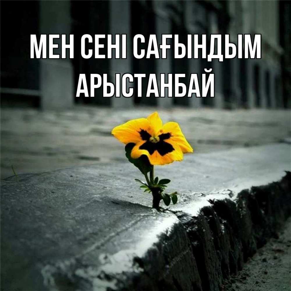 Күн сайын ашық хат с именем, Арыстанбай Мен сені сағындым надеюсь будет лучше Онлайн тегін жүктеп алу тілектері бар керемет карта 