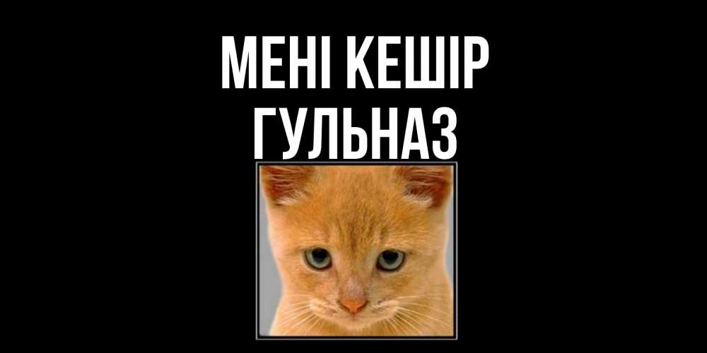 Күн сайын ашық хат с именем, Гульназ Мені кешір рыжий грустный кот просит прощения Онлайн тегін жүктеп алу тілектері бар керемет карта 
