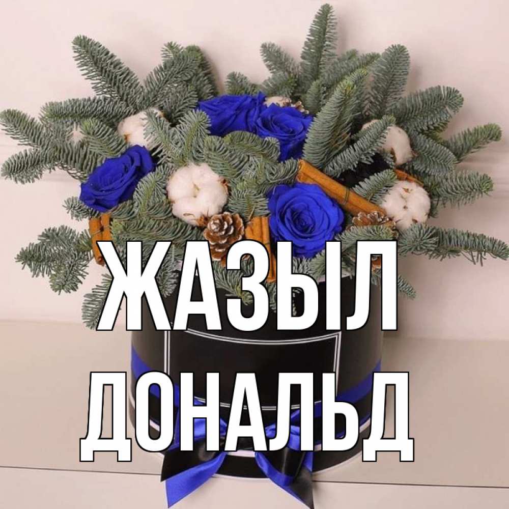Күн сайын ашық хат с именем, Дональд Жазыл короче кто то загрузил эти шишки Онлайн тегін жүктеп алу тілектері бар керемет карта 