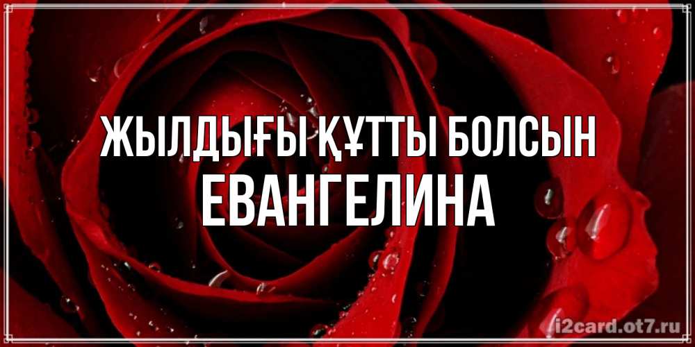 Күн сайын ашық хат с именем, Евангелина Жылдығы құтты болсын крупная бордовая роза Онлайн тегін жүктеп алу тілектері бар керемет карта 