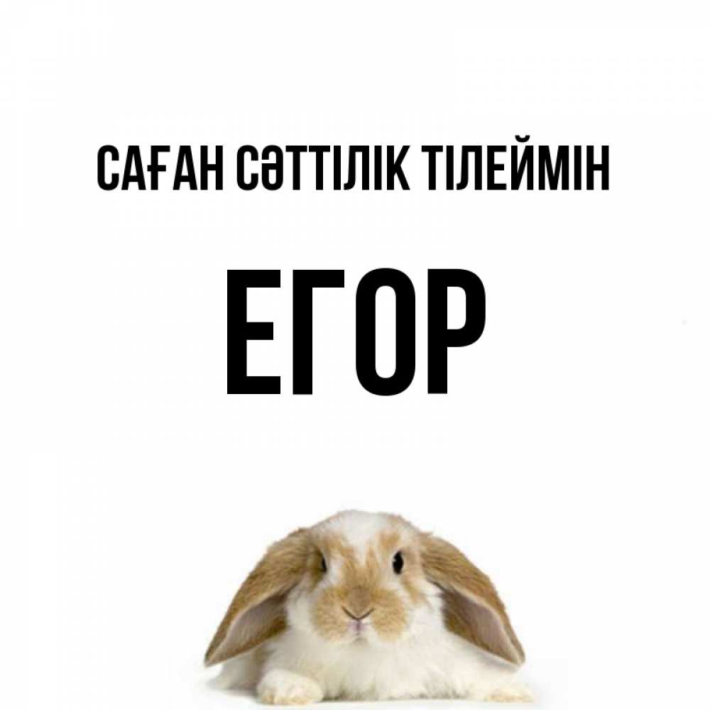 Күн сайын ашық хат с именем, Егор Саған сәттілік тілеймін открытки с произвольным текстом который можно вставить в открытку и создать ее самостоятельно бесплатно онлайн Онлайн тегін жүктеп алу тілектері бар керемет карта 