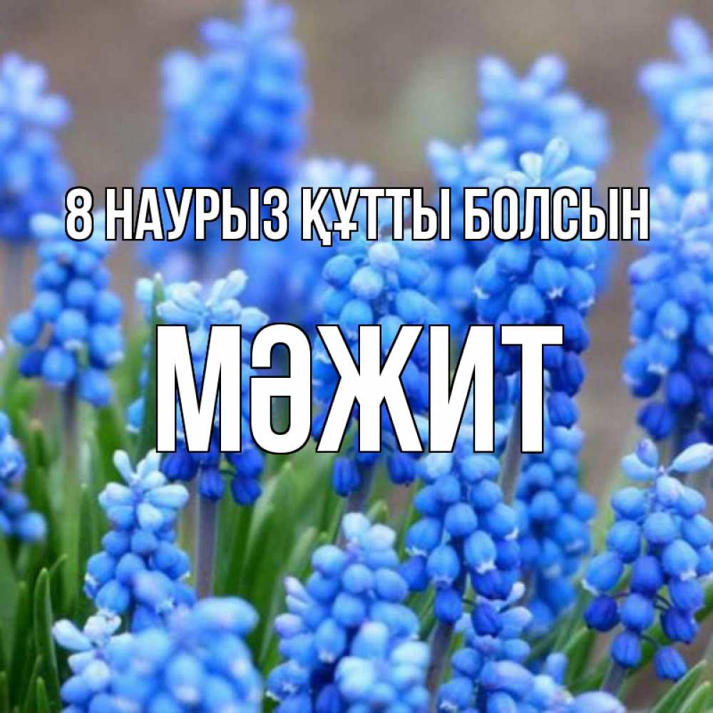 Күн сайын ашық хат с именем, МӘЖИТ 8 наурыз құтты болсын Поздравительная открытка для женщин с цветами на праздничную дату Онлайн тегін жүктеп алу тілектері бар керемет карта 