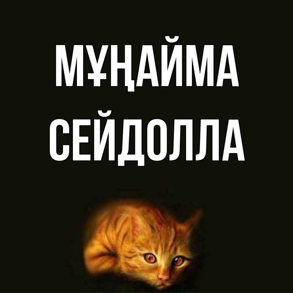 Күн сайын ашық хат с именем, СЕЙДОЛЛА Мұңайма лежащий кот в темноте Онлайн тегін жүктеп алу тілектері бар керемет карта 