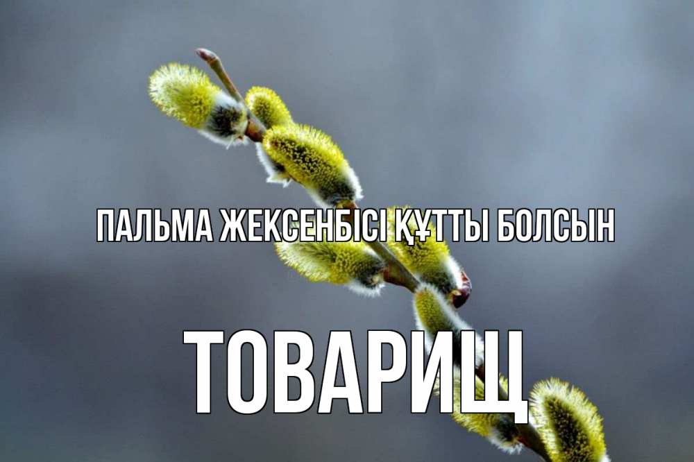 Күн сайын ашық хат с именем, Товарищ Пальма жексенбісі құтты болсын верба Онлайн тегін жүктеп алу тілектері бар керемет карта 