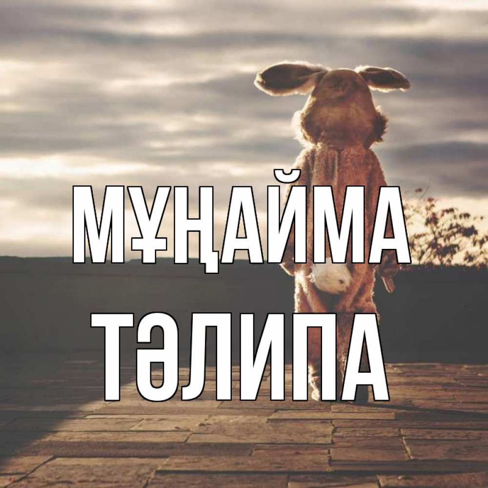 Күн сайын ашық хат с именем, ТӘЛИПА Мұңайма со спины Онлайн тегін жүктеп алу тілектері бар керемет карта 
