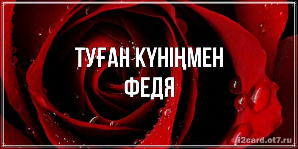 Күн сайын ашық хат с именем, Федя Туған күніңмен крупная бордовая роза Онлайн тегін жүктеп алу тілектері бар керемет карта 