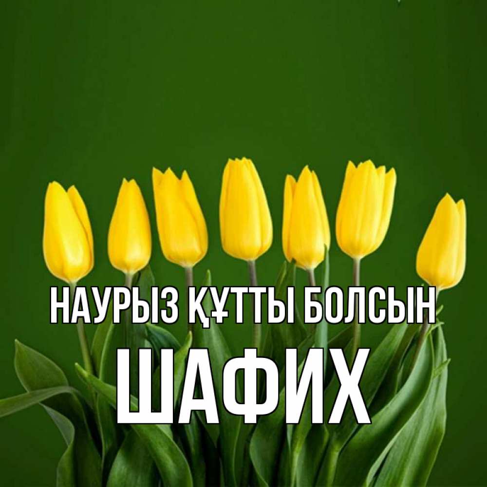 Күн сайын ашық хат с именем, ШАФИХ Наурыз құтты болсын желтого цвета 3 Онлайн тегін жүктеп алу тілектері бар керемет карта 