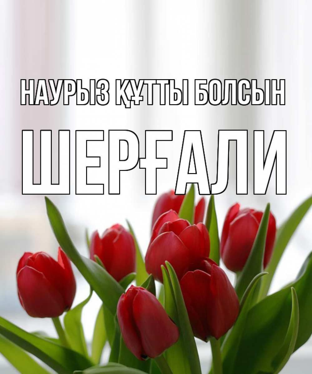 Күн сайын ашық хат с именем, ШЕРҒАЛИ Наурыз құтты болсын полевые цветы Онлайн тегін жүктеп алу тілектері бар керемет карта 