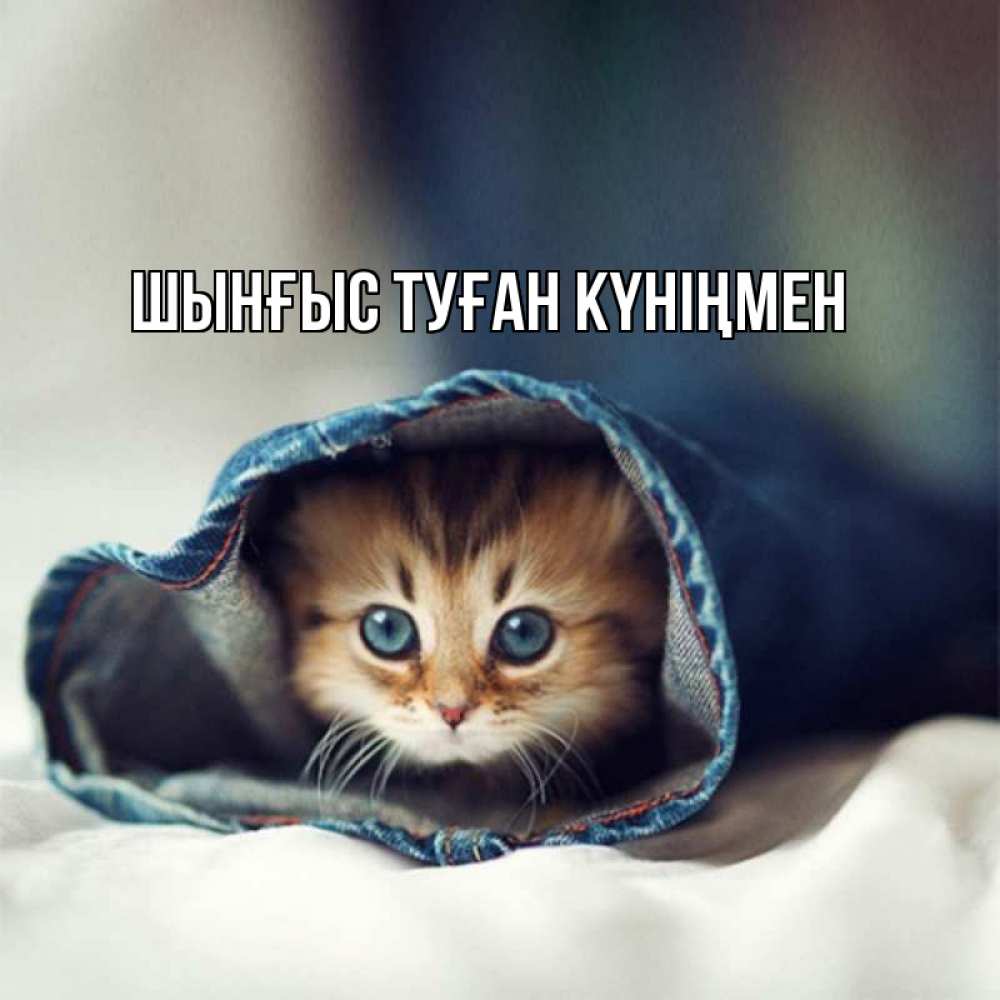 Картинка  с именем , ШЫНҒЫС! ТУҒАН КҮНІҢМЕН!