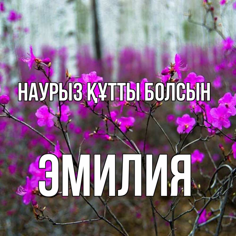 Күн сайын ашық хат с именем, Эмилия Наурыз құтты болсын дикие цветы Онлайн тегін жүктеп алу тілектері бар керемет карта 