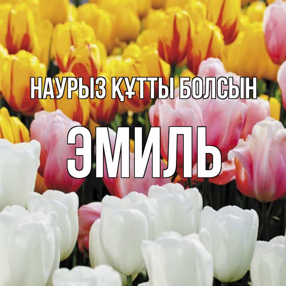 Күн сайын ашық хат с именем, Эмиль Наурыз құтты болсын разноцветные цветы Онлайн тегін жүктеп алу тілектері бар керемет карта 