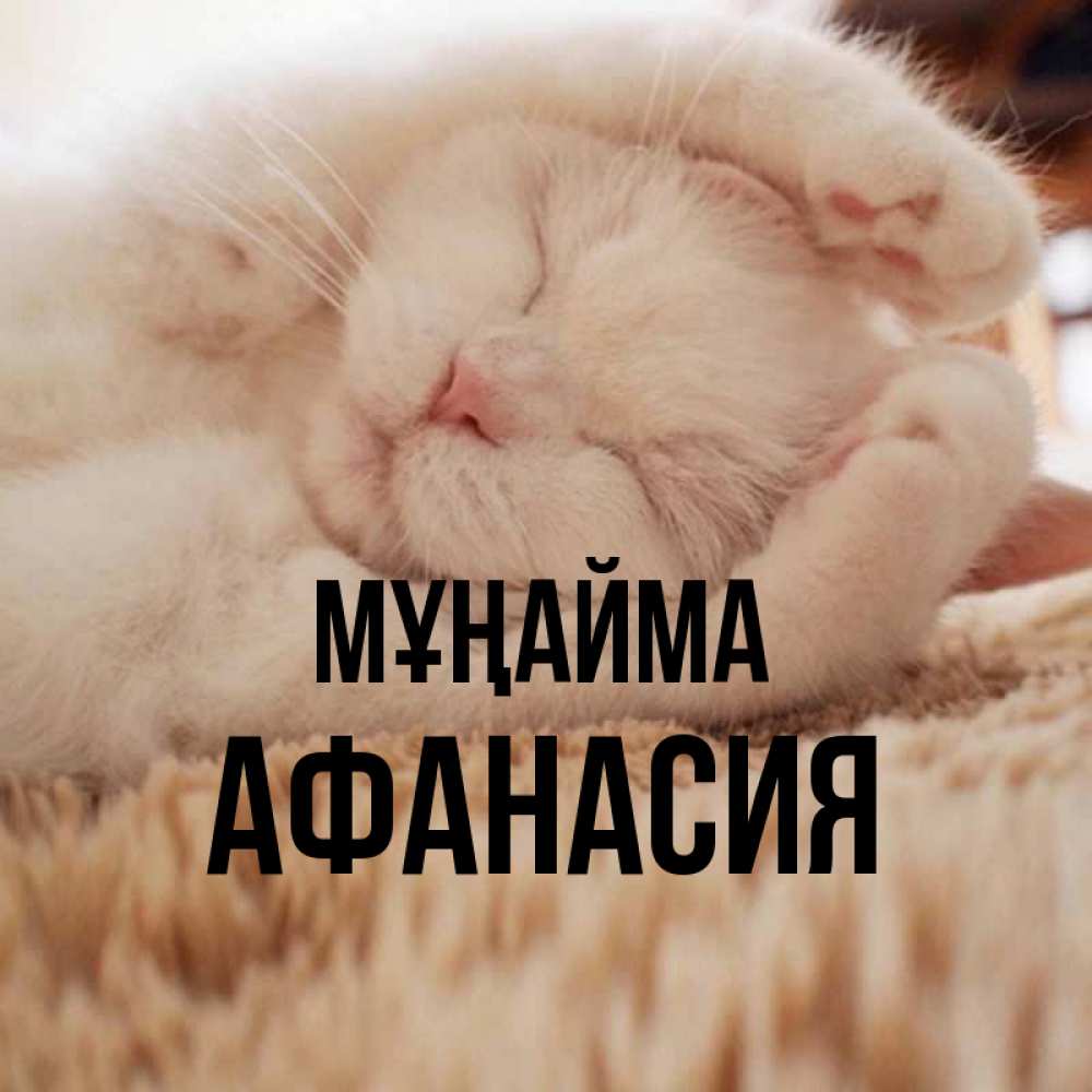 Күн сайын ашық хат с именем, Афанасия Мұңайма Котенок спит Онлайн тегін жүктеп алу тілектері бар керемет карта 