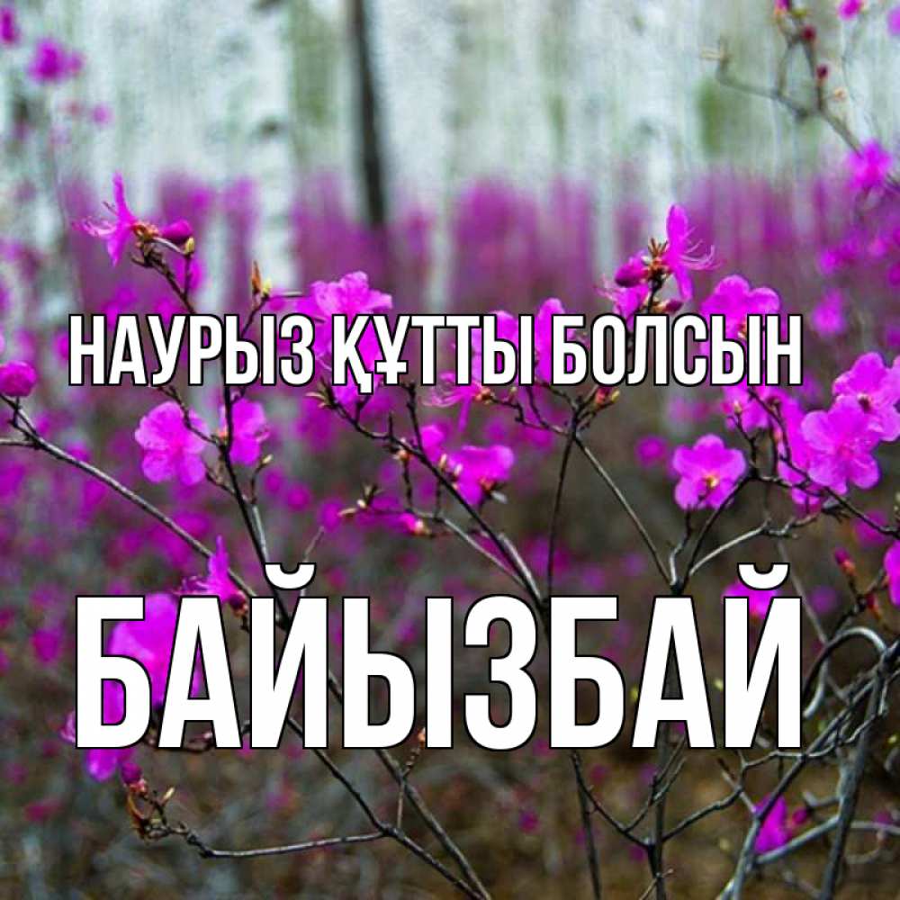 Күн сайын ашық хат с именем, Байызбай Наурыз құтты болсын дикие цветы Онлайн тегін жүктеп алу тілектері бар керемет карта 