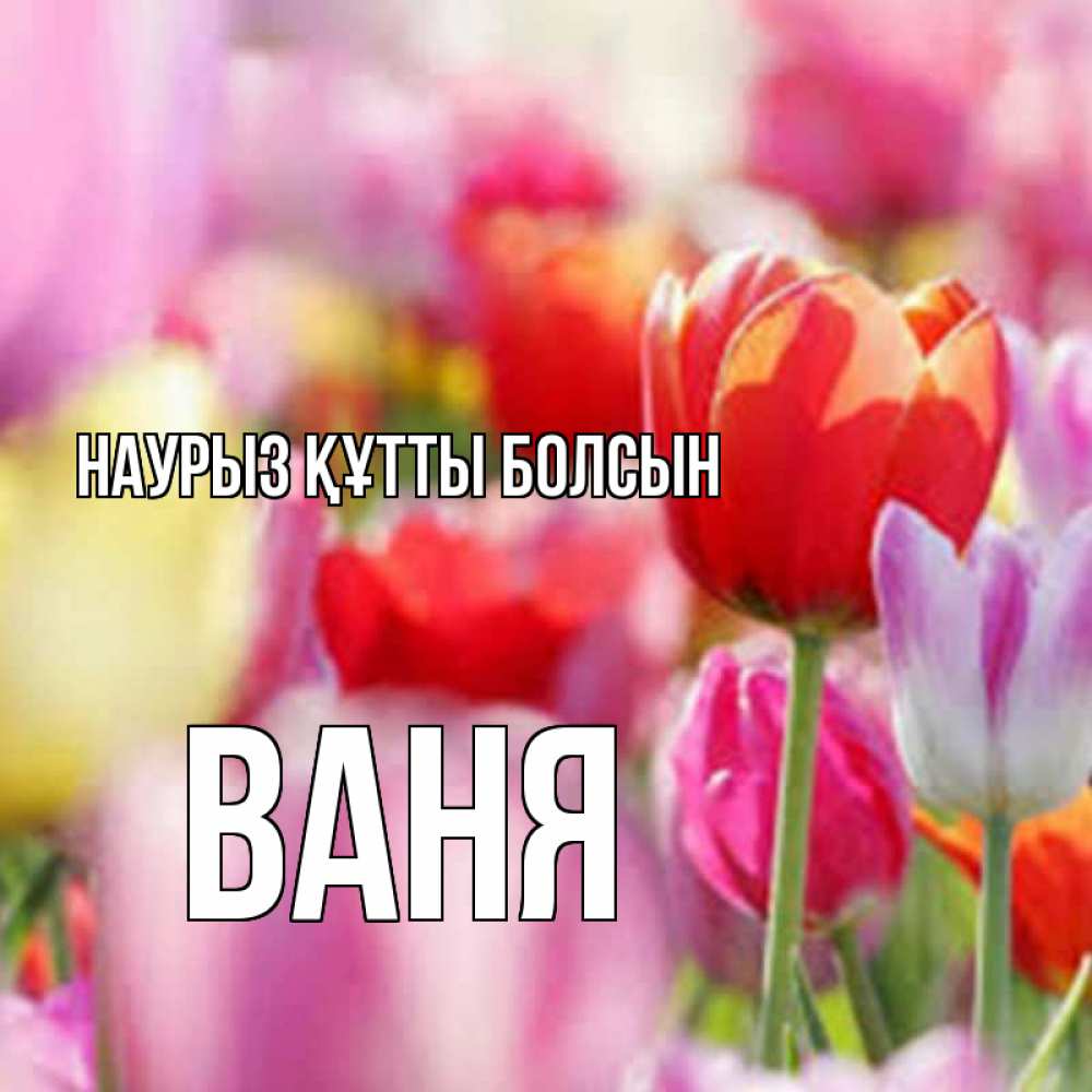 Күн сайын ашық хат с именем, Ваня Наурыз құтты болсын на наурыз  2 Онлайн тегін жүктеп алу тілектері бар керемет карта 