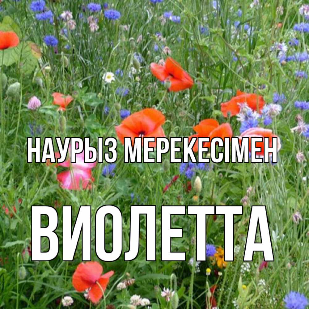 Күн сайын ашық хат с именем, Виолетта Наурыз мерекесімен праздник весны наурыз супер открытка Онлайн тегін жүктеп алу тілектері бар керемет карта 
