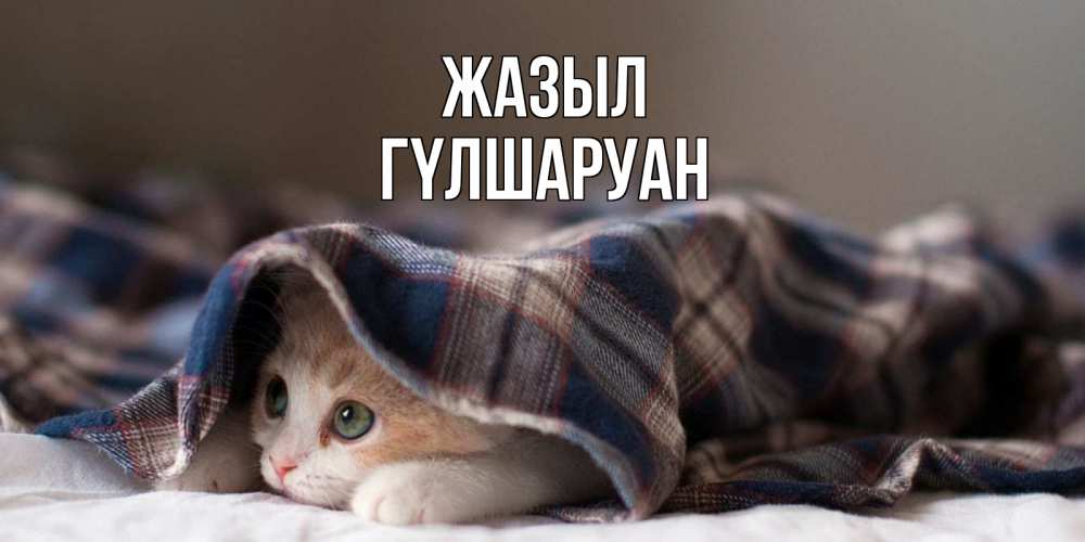 Күн сайын ашық хат с именем, ГҮЛШАРУАН Жазыл не болейте с котиком Онлайн тегін жүктеп алу тілектері бар керемет карта 