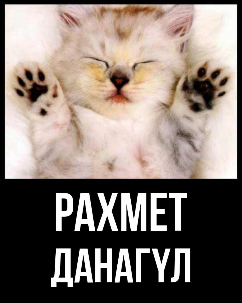 Күн сайын ашық хат с именем, ДАНАГҮЛ рахмет маленький котенок Онлайн тегін жүктеп алу тілектері бар керемет карта 