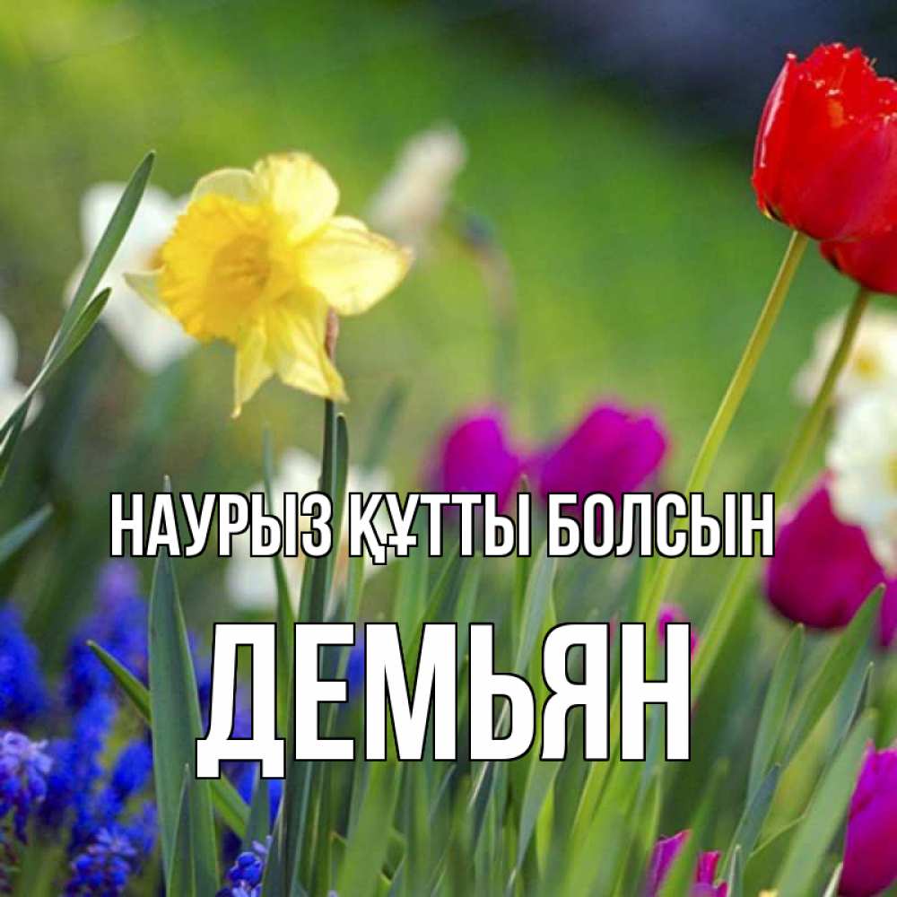 Күн сайын ашық хат с именем, Демьян Наурыз құтты болсын наурыз  3 открытки Онлайн тегін жүктеп алу тілектері бар керемет карта 