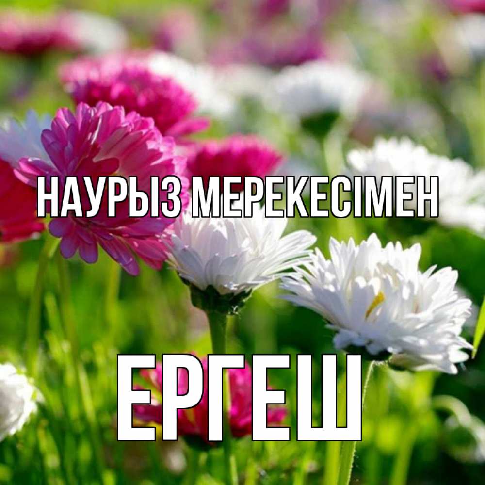 Күн сайын ашық хат с именем, Ергеш Наурыз мерекесімен праздник весны наурыз красота Онлайн тегін жүктеп алу тілектері бар керемет карта 
