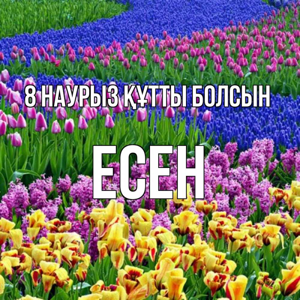 Күн сайын ашық хат с именем, Есен 8 наурыз құтты болсын цветы Онлайн тегін жүктеп алу тілектері бар керемет карта 