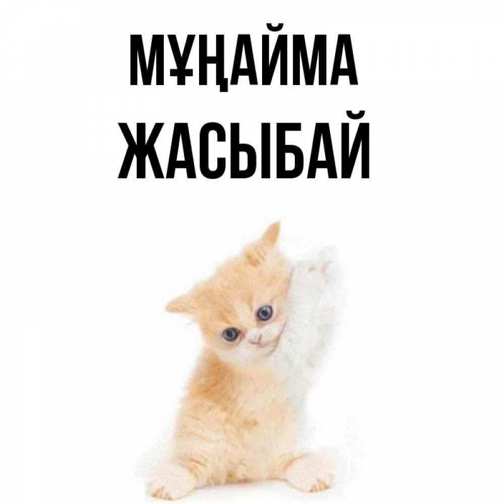 Күн сайын ашық хат с именем, Жасыбай Мұңайма просящий кот Онлайн тегін жүктеп алу тілектері бар керемет карта 