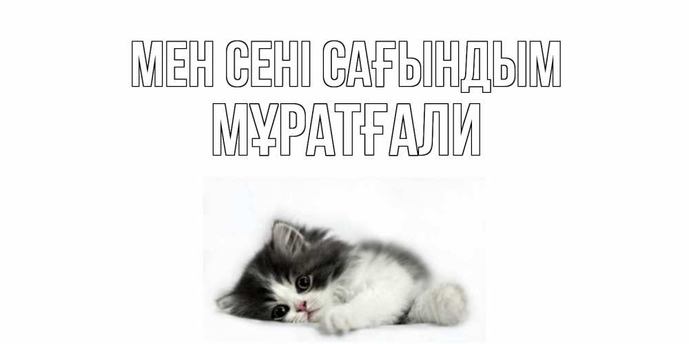 Күн сайын ашық хат с именем, Мұратғали Мен сені сағындым кот, скука Онлайн тегін жүктеп алу тілектері бар керемет карта 
